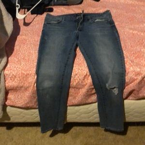 Bebe jeans, size 31 juniors